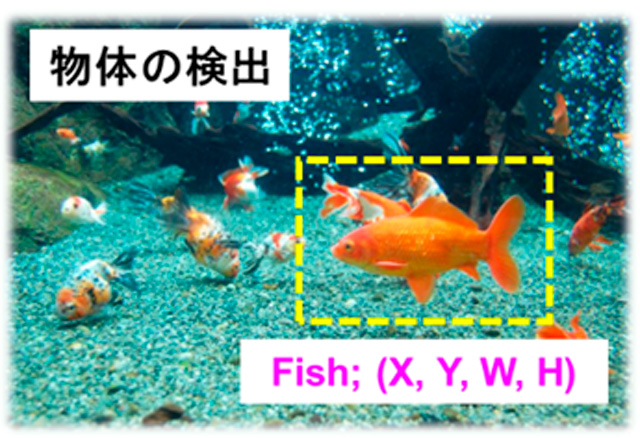 第11回一日体験理工学教室　機械の学校ハイブリッド（電子・機械・材料・知能制御編）2