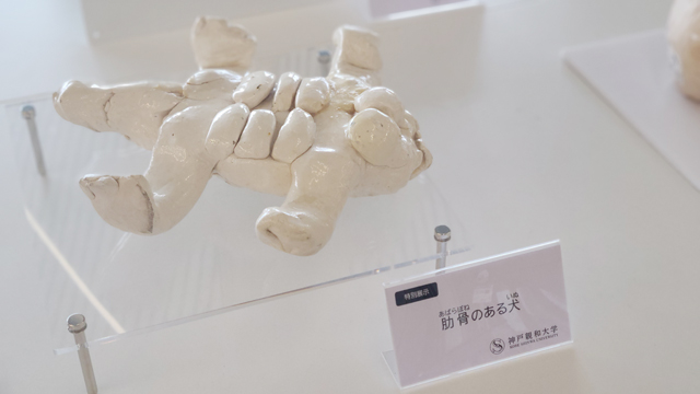 公開講座　鑑賞しよう！～手と目と心で感じる粘土作品～1