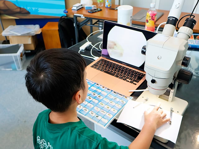 夏だ！ワクワク科学館まつり2026
（主催：Ａ＆Ａ下水道科学館（公益財団法人 愛知水と緑の公社／アクティオ株式会社））1