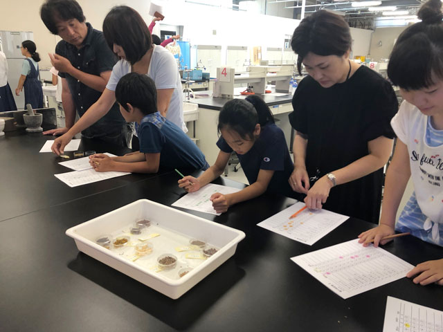 夏休み自由研究大作戦！あら不思議？わくわく科学体験デー
子ども科学体験デーin北陸大学20211